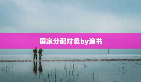国家分配对象by追书