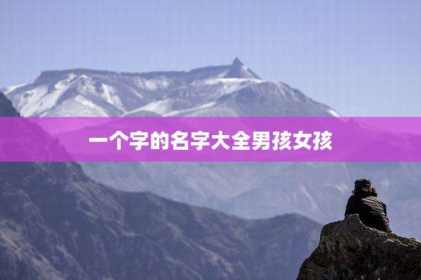 一个字的名字大全男孩女孩