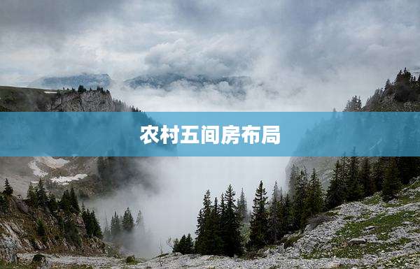 农村五间房布局