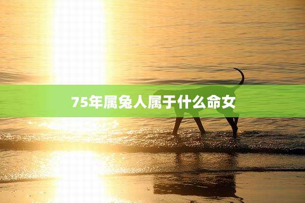 75年属兔人属于什么命女