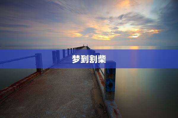 梦到割柴
