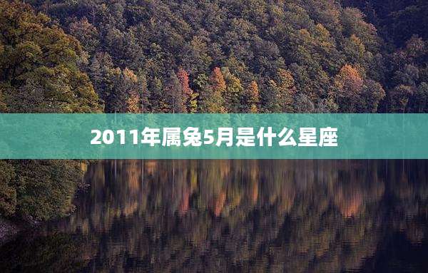 2011年属兔5月是什么星座