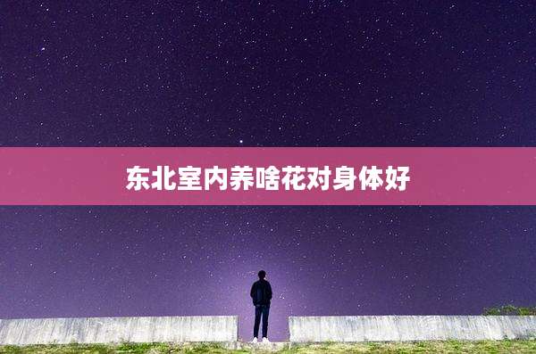 东北室内养啥花对身体好
