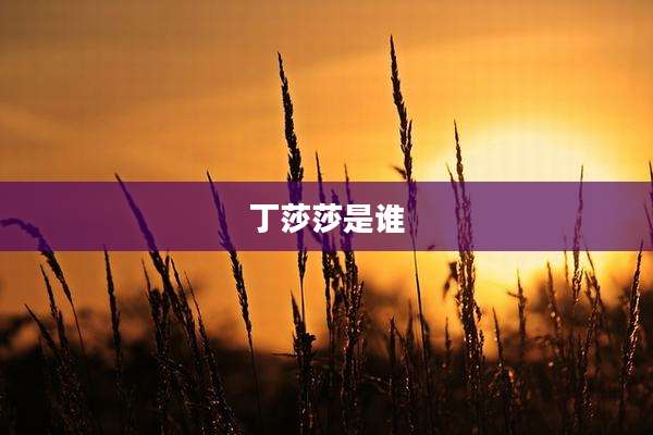 丁莎莎是谁