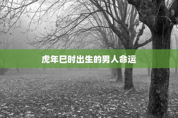 虎年巳时出生的男人命运