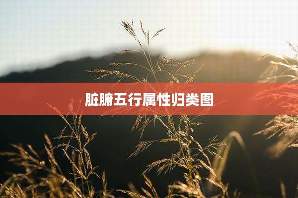 脏腑五行属性归类图