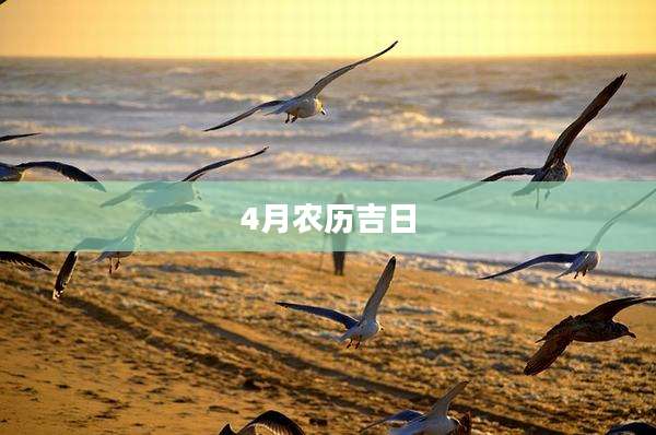 4月农历吉日