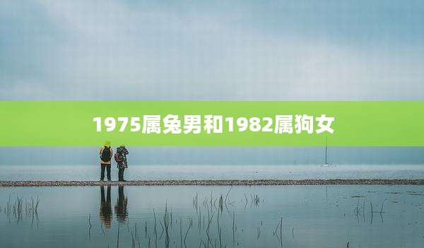 1975属兔男和1982属狗女