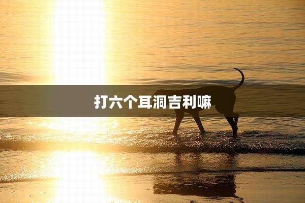 打六个耳洞吉利嘛
