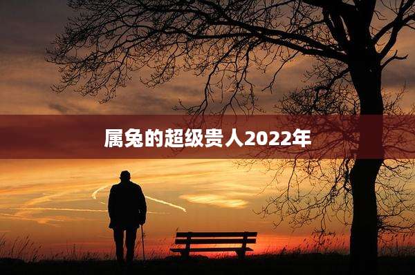 属兔的超级贵人2022年