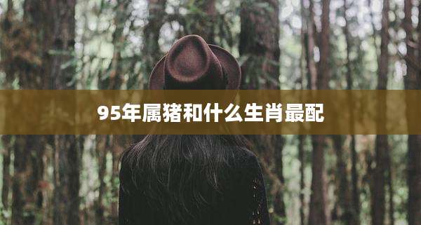 95年属猪和什么生肖最配