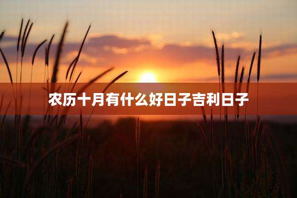 农历十月有什么好日子吉利日子