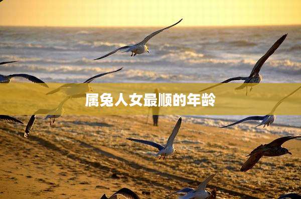 属兔人女最顺的年龄