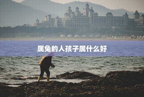 属兔的人孩子属什么好