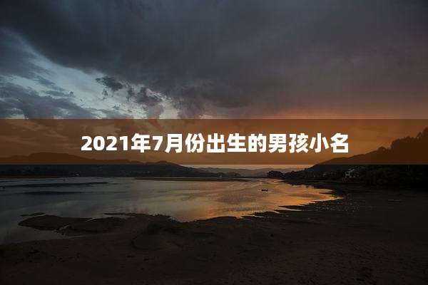 2021年7月份出生的男孩小名