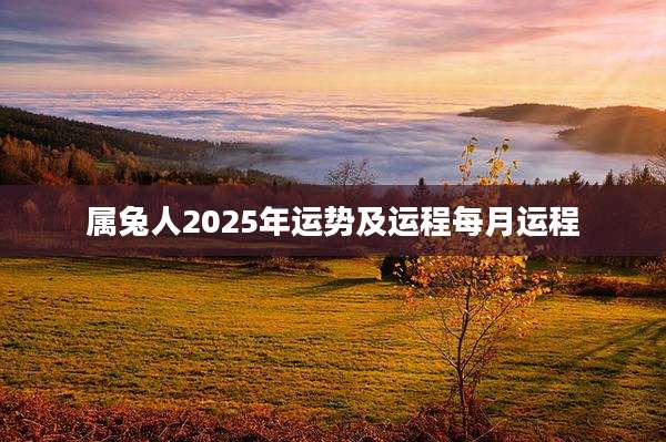 属兔人2025年运势及运程每月运程