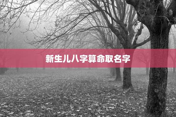 新生儿八字算命取名字