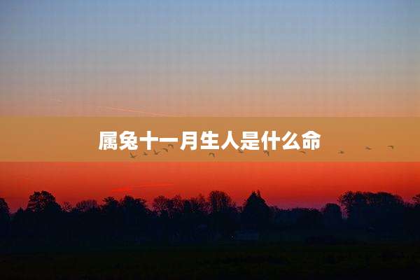 属兔十一月生人是什么命