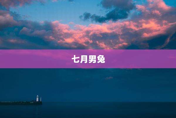 七月男兔