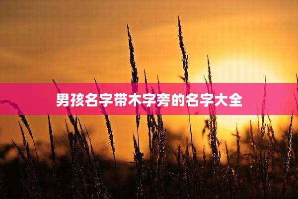 男孩名字带木字旁的名字大全