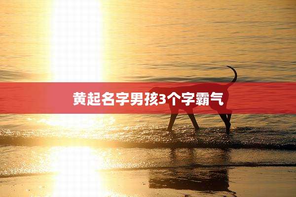 黄起名字男孩3个字霸气
