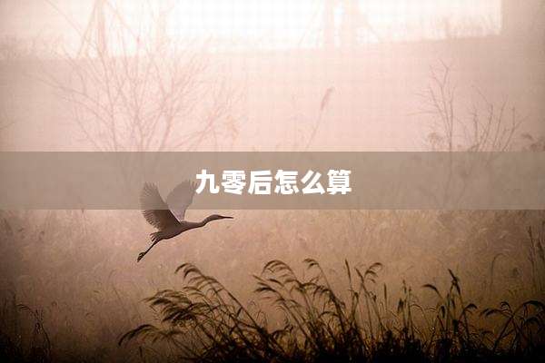 九零后怎么算