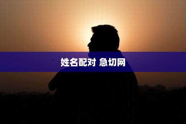 姓名配对 急切网