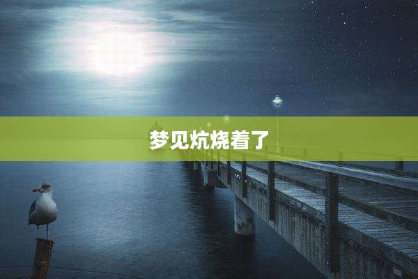 梦见炕烧着了