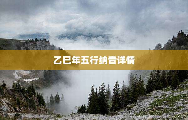 乙巳年五行纳音详情