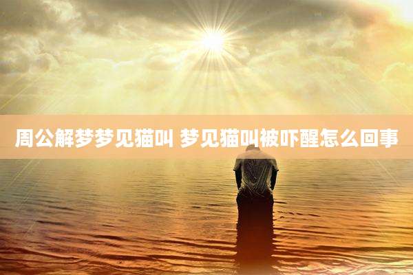 周公解梦梦见猫叫 梦见猫叫被吓醒怎么回事