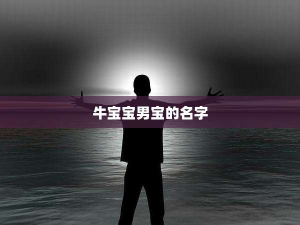 牛宝宝男宝的名字