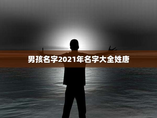 男孩名字2021年名字大全姓唐