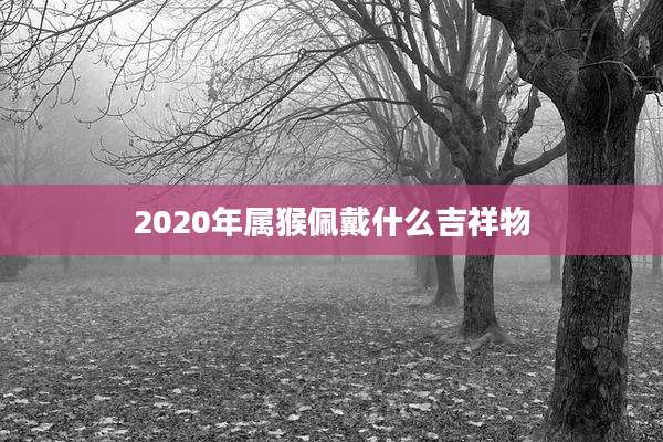 2020年属猴佩戴什么吉祥物