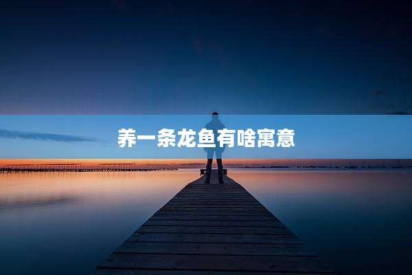 养一条龙鱼有啥寓意