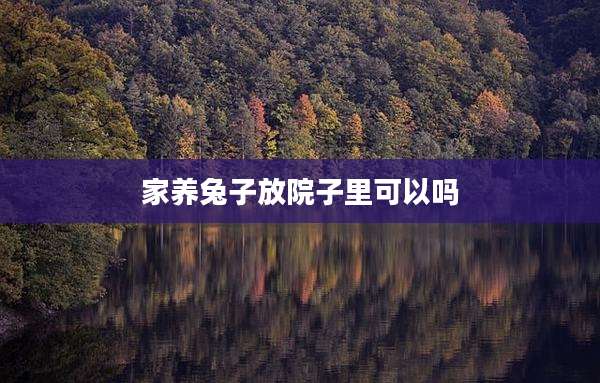 家养兔子放院子里可以吗