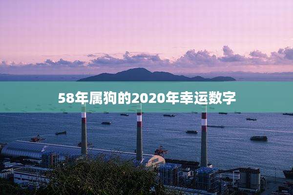 58年属狗的2020年幸运数字