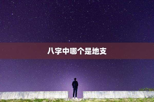 八字中哪个是地支