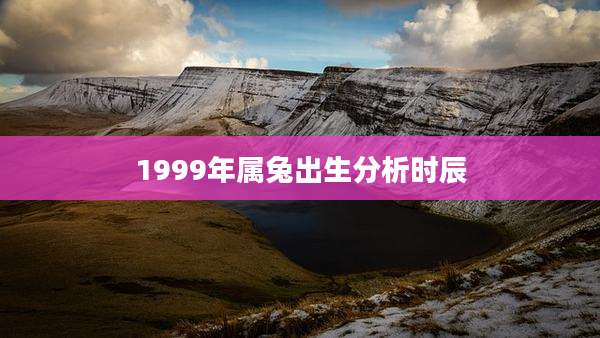 1999年属兔出生分析时辰