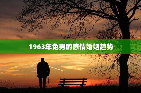 1963年兔男的感情婚姻趋势