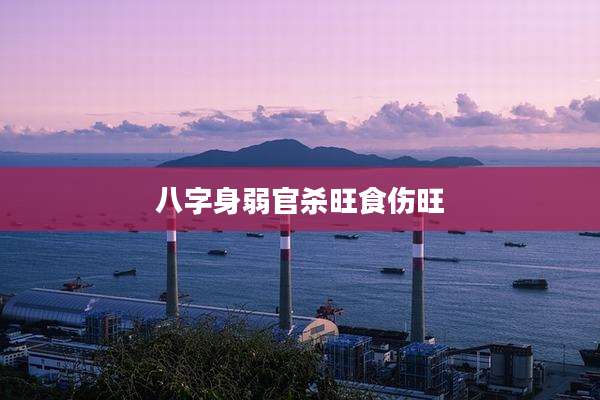 八字身弱官杀旺食伤旺