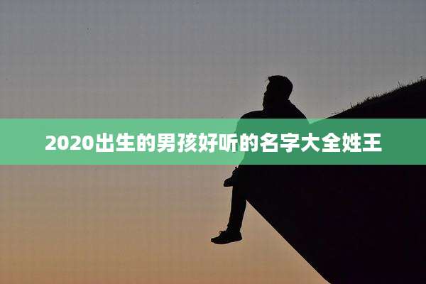 2020出生的男孩好听的名字大全姓王