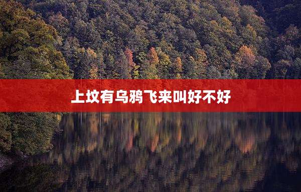 上坟有乌鸦飞来叫好不好
