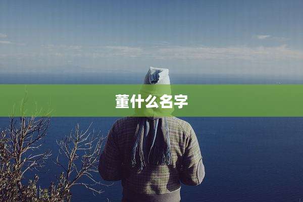 董什么名字