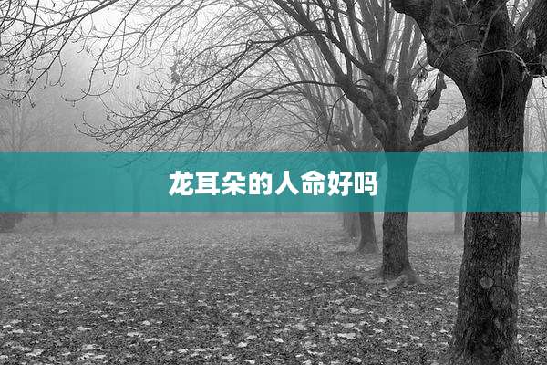 龙耳朵的人命好吗