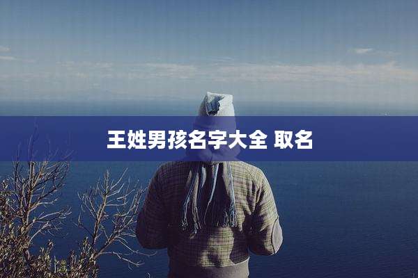 王姓男孩名字大全 取名