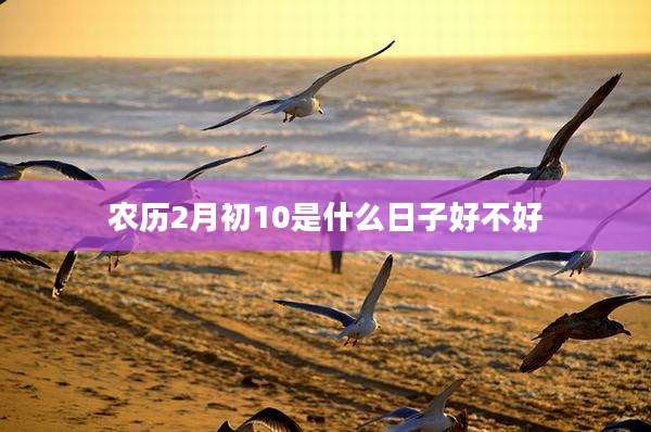 农历2月初10是什么日子好不好