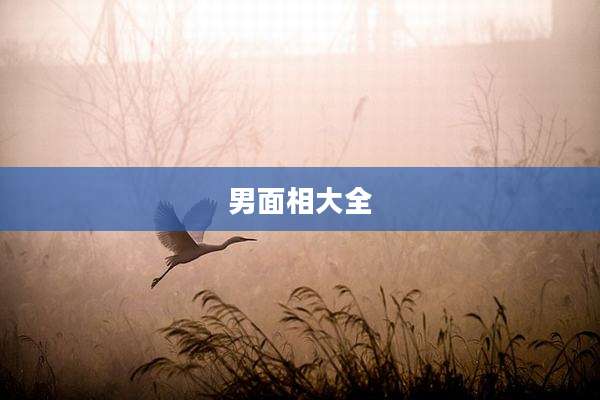 男面相大全
