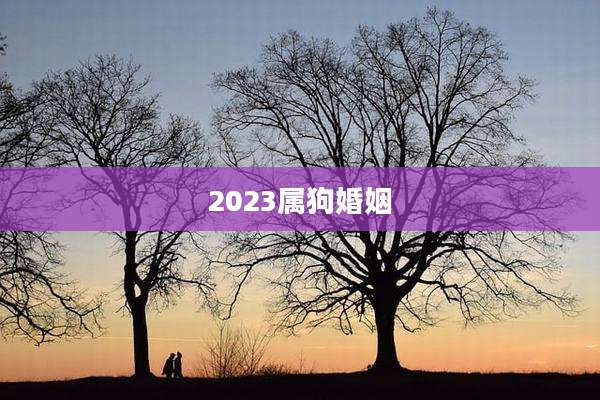2023属狗婚姻