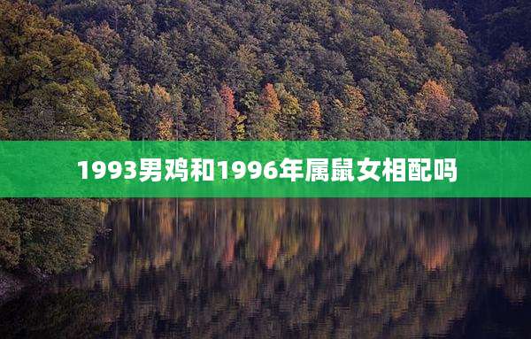 1993男鸡和1996年属鼠女相配吗