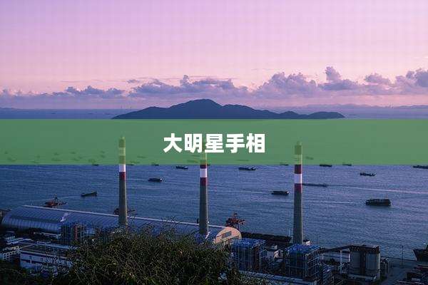 大明星手相